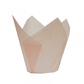 Капсули лале - роза Ø50 h55мм