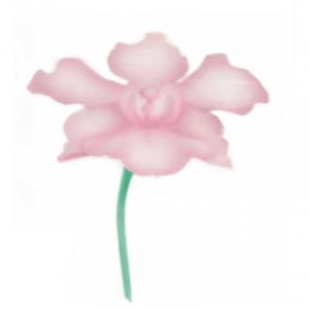 Шаблон за въздушна четка "Орхидея"