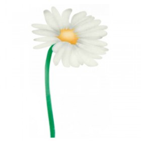 Шаблон за въздушна четка "Маргаритка"