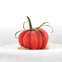 Серия „Naturae“ и плейтване