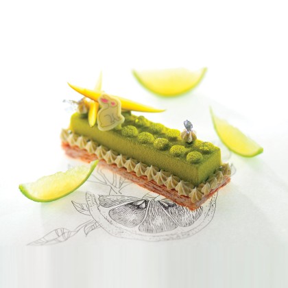 Термоформована форма "Лего"