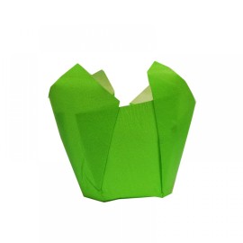 Капсули лале - зелени Ø50 h55мм - 10бр