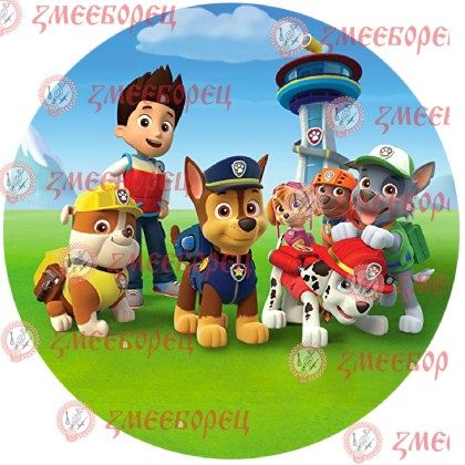 Готова фотодекорация кръгла "Paw Patrol 5"