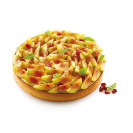 Микроперфориран ринг за "Tarte Ring 250"