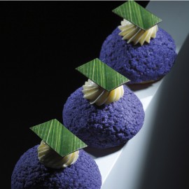 Книга "Radix" by Paco Torreblanca