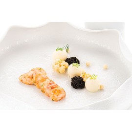 Силиконова форма "SCAMPO 20"