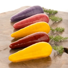 Силиконова форма морков "CAROTA 20"