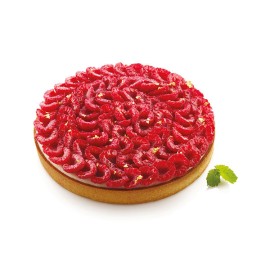 Микроперфориран ринг за "Tarte Ring 210"