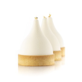 Силиконова форма "Vega 90"