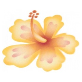 Шаблон за декорация  "Хибискус"