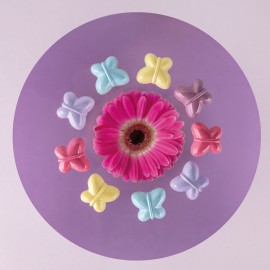 Поликарбонатна форма пеперуда "Mariposa"