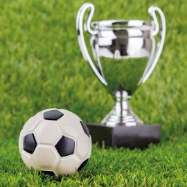 Поликарбонатна форма футболна топка "Goal"