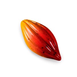 Поликарбонатна форма за бонбон "Theobroma" Какаово зърно 