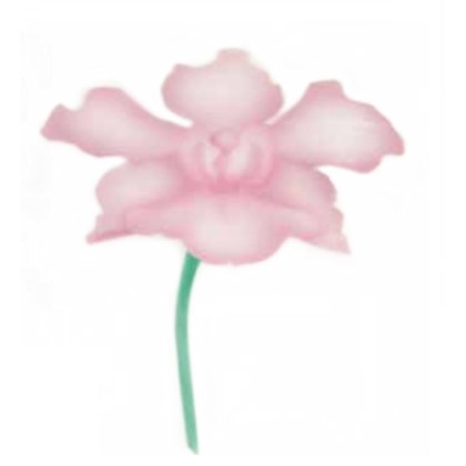 Шаблон за въздушна четка "Орхидея"