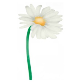 Шаблон за въздушна четка "Маргаритка"