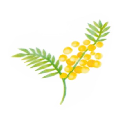 Шаблон за въздушна четка "Клонче мимоза"