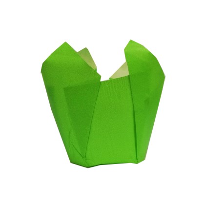 Капсули лале - зелени Ø50 h80мм