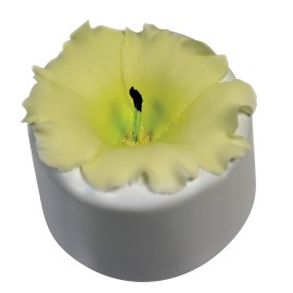 Форма за Петуния