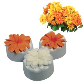 Форма за Маргарита