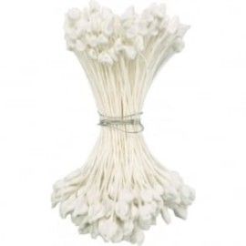 Тичинки бели капка