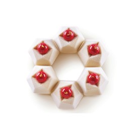 Силиконова форма "Kit Cosmos 105"