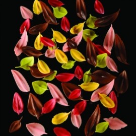 Инструмент за листо 60х44мм