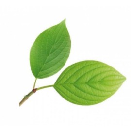 Комплект метален кутер със силиконови щампи "Листо универсално" - 3 елемента