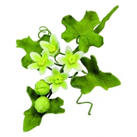 Комплект кутери "Дива тиква" - 2 елемента