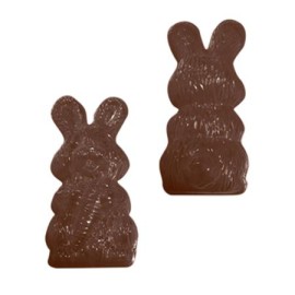 Термоформована форма "Гладен заек"