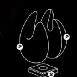 3D Термоформована форма "Яйце - Орган"