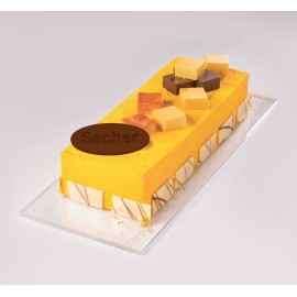 Термоформована форма "Плочка с надпис Сахер"