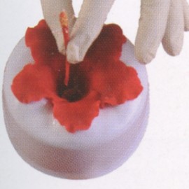 Форма за Хибискус