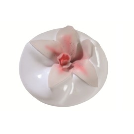 Форма за хибридна Орхидея