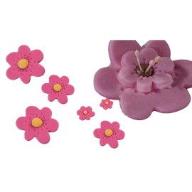 Комплект кутери 4 елемента с избутвач за цвете с 6 листа