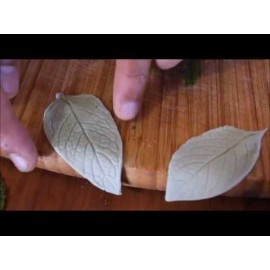 Силиконова щампа за листо от Роза